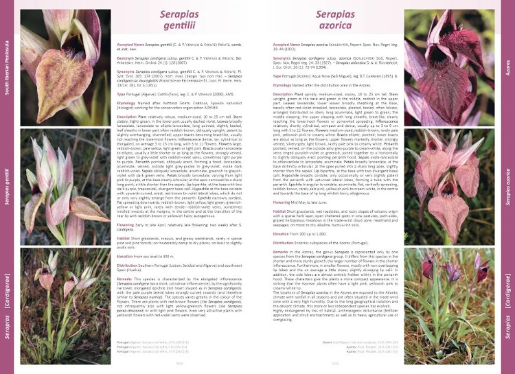 ORCHIDS OF EUROPE, NORTH AFRICA AND THE MIDDLE EAST 2