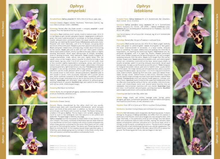 ORCHIDS OF EUROPE, NORTH AFRICA AND THE MIDDLE EAST 3