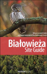 BIALOWIEZA SITE GUIDE. WHERE TO WATCH BIRDS AND LARGE MAMMALS OF THE BIALOWIEZA FOREST 1