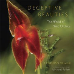 DECEPTIVE BEAUTIES. THE WORLD OF WILD ORCHIDS 1