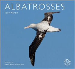 ALBATROSSES 1