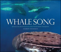 WHALE SONG 1