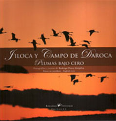 JILOCA Y CAMPO DE DAROCA. PLUMAS BAJO CERO 1