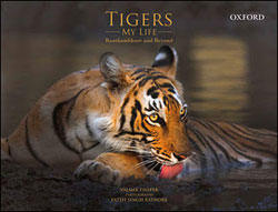 TIGERS - MY LIFE. RANTHAMBHORE AND BEYOND 1