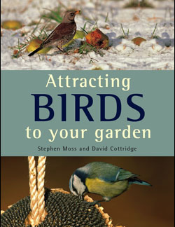 ATTRACTING BIRDS TO YOUR GARDEN 1