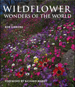 WILDFLOWER WONDERS OF THE WORLD 1