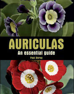 AURICULAS. AN ESSENTIAL GUIDE 1