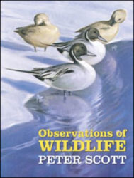 OBSERVATIONS OF WILDLIFE. A FINE COLLECTION OF ARTWORKS AND A FITTING TRIBUTE TO THIS BRITISH CONSERVATIONIST 1