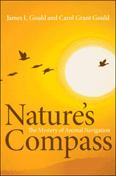 NATURE'S COMPASS. THE MISTERY OF ANIMAL NAVIGATION 2