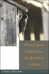 PHYSIOLOGICAL ADAPTATIONS FOR BREEDING IN BIRDS 1