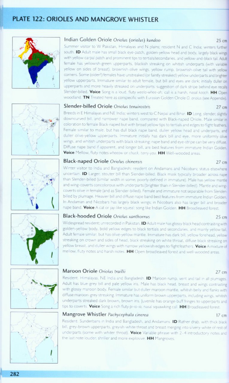 HELM FIELD GUIDES. BIRDS OF THE INDIAN SUBCONTINENT 2