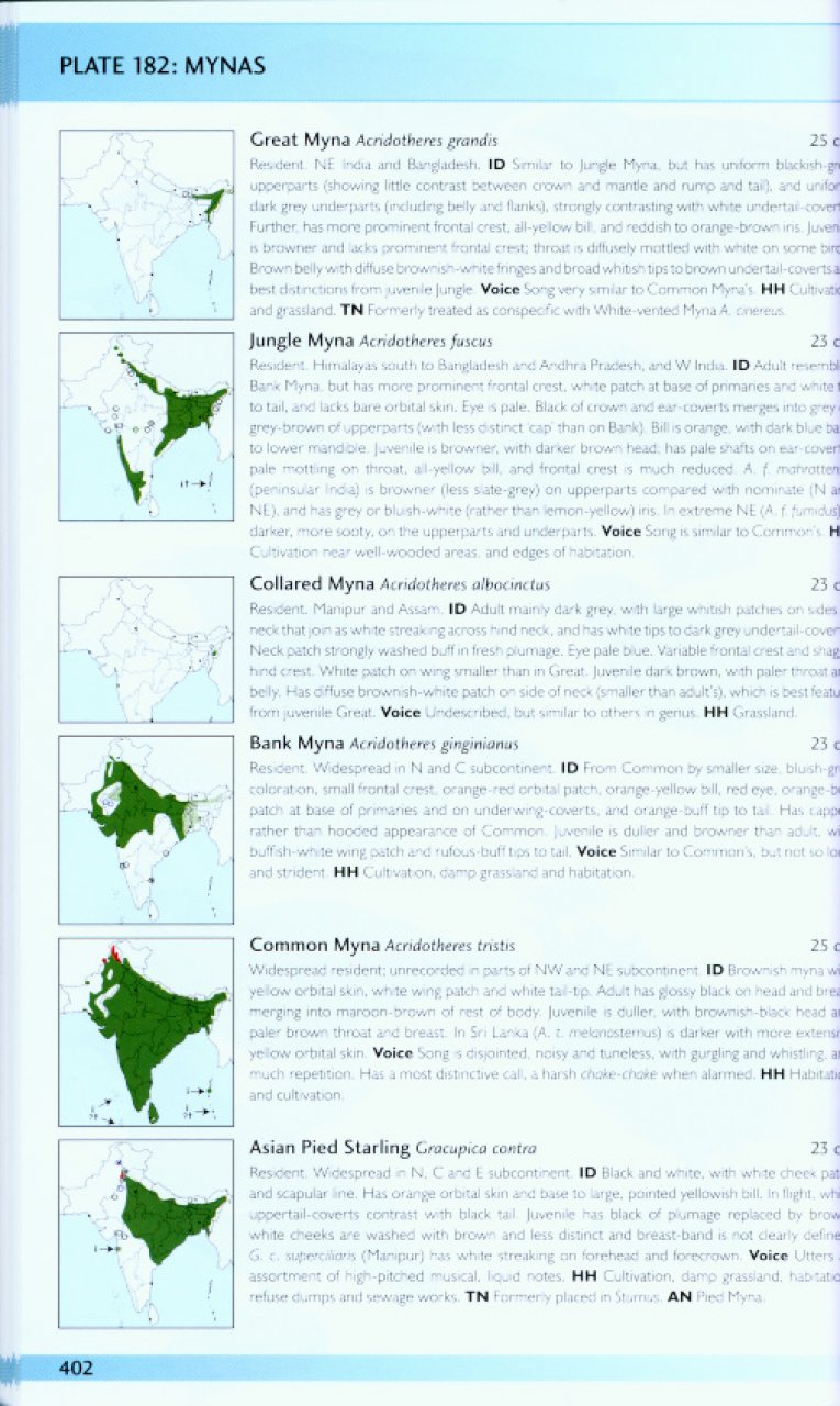 HELM FIELD GUIDES. BIRDS OF THE INDIAN SUBCONTINENT 4