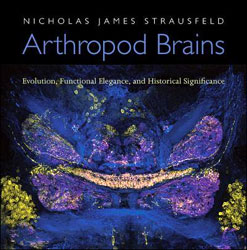 ARTHROPOD BRAINS. EVOLUTION, FUNCTIONAL ELEGANCE, AND HISTORICAL SIGNIFICANCE 1
