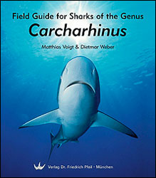 FIELD GUIDE FOR SHARKS OF THE GENUS CARCHARHINUS 1