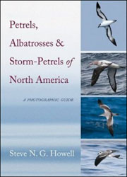 PETRELS, ALBATROSSES AND STORM-PETRELS OF NORTH AMERICA. A PHOTOGRAPHIC GUIDE 1