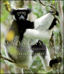MADAGASCAR. THE FOREST OF OUR ANCESTORS 1