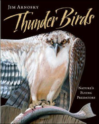 THUNDER BIRDS 1