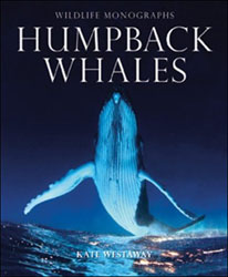 HUMPBACK WHALES 1