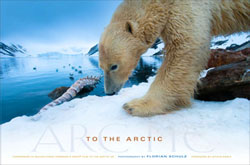 TO THE ARCTIC 1