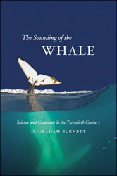 THE SOUNDING OF THE WHALE 1