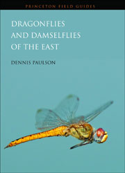 DRAGONFLIES AND DAMSELFLIES OF THE EAST 1