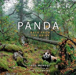 PANDA. BACK FROM THE BRINK 1