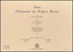 ATLAS D'ANATOMIE DE L'ESPÈCE BOVINE 1