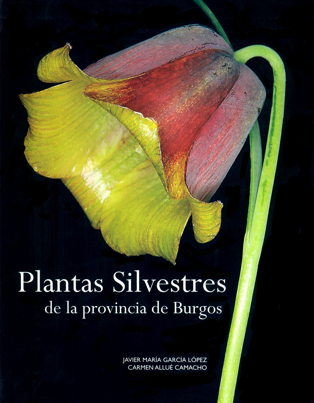 PLANTAS SILVESTRES DE LA PROVINCIA DE BURGOS