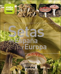 SETAS DE ESPAÑA Y DE EUROPA 2