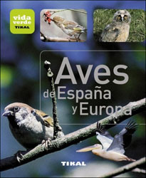 AVES DE ESPAÑA Y EUROPA  2