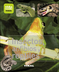 INSECTOS, ANFIBIOS Y REPTILES 1