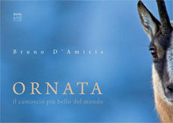 ORNATA. IL CAMOSCIO PIÙ BELLO DEL MONDO 1