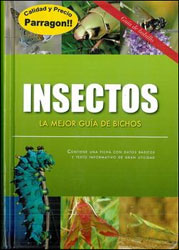 INSECTOS. LA MEJOR GUÍA DE BICHOS 1
