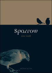 SPARROW 1