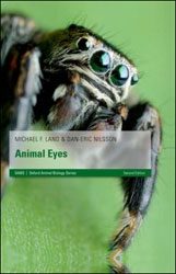 ANIMAL EYES 1