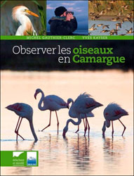 OBSERVER LES OISEAUX EN CAMARGUE 1
