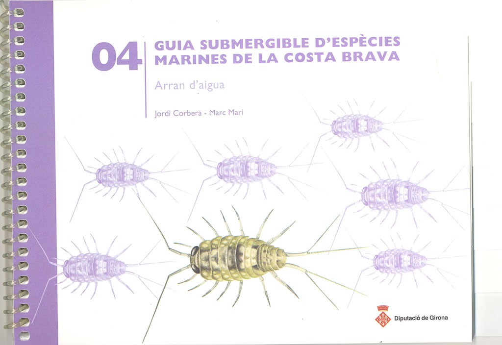 GUIA SUBMERGIBLE D\'ESPÈCIES MARINES DE LA COSTA BRAVA. 04 ARRAN D\'AIGUA 1