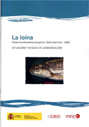 LA LOÍNA. SITUACIÓN Y ESTADO DE CONSERVACIÓN 1