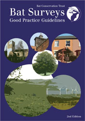 BAT SURVEYS. GOOD PRACTICE GUIDELINES 1