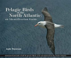 PELAGIC BIRDS OF THE NORTH ATLANTIC. AN IDENTIFICATION GUIDE 1