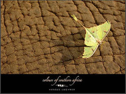COLOURS OF SOUTHERN AFRICA 1
