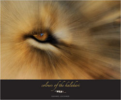 COLOURS OF THE KALAHARI 1