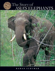THE STORY OF ASIA'S ELEPHANTS 1