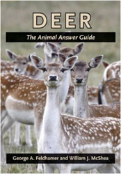 DEER. THE ANIMAL ANSWER GUIDE 1