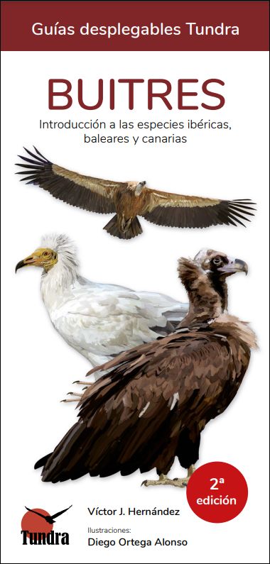 BUITRES. INTRODUCCIÓN A LAS ESPECIES IBÉRICAS, BALEARES Y CANARIAS. GUÍAS DESPLEGABLES TUNDRA