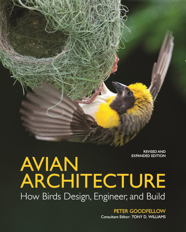 AVIAN ARCHITECTURE. HOW BIRDS DESIGN, ENGINEER, AND BUILD