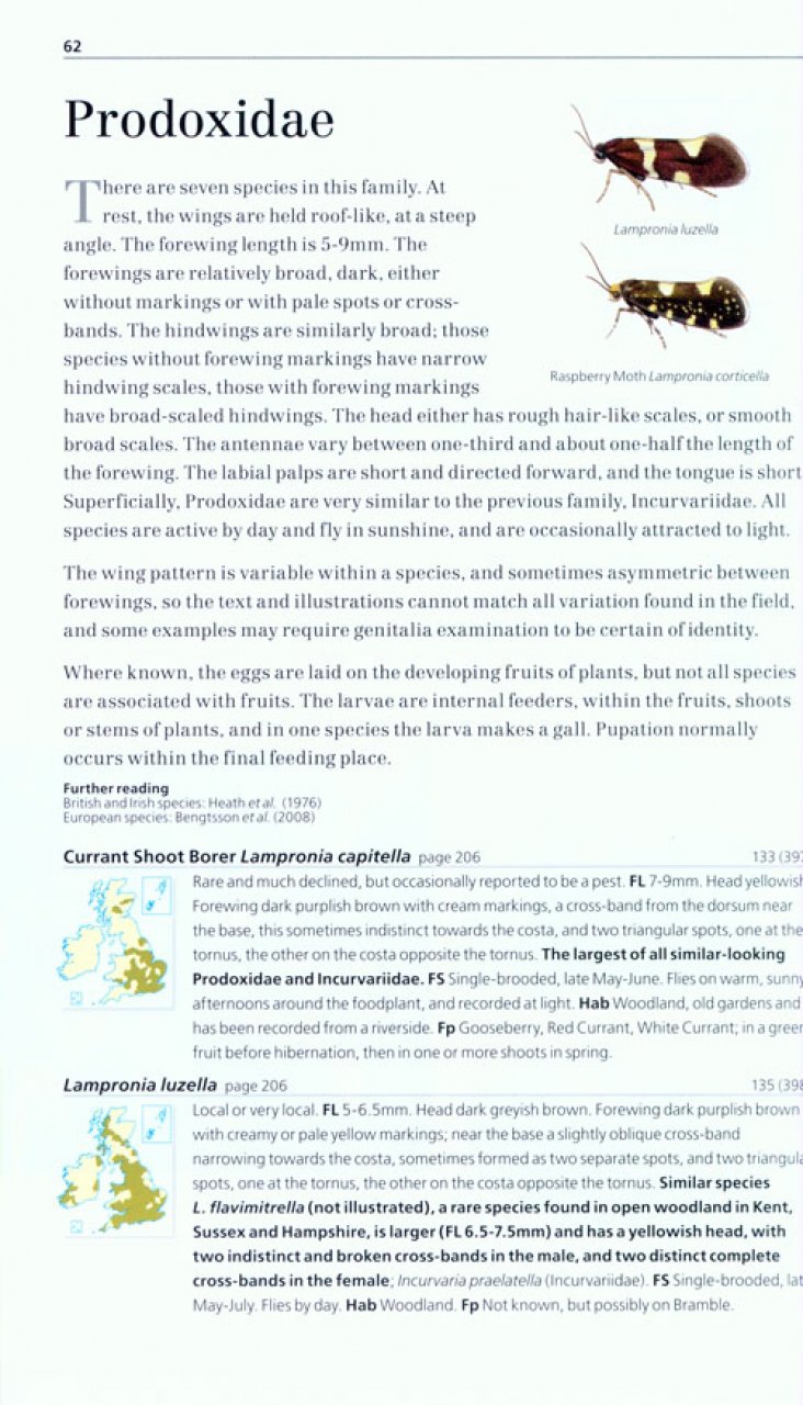 FIELD GUIDE TO THE MICRO-MOTHS OF GREAT BRITAIN AND IRELAND 2