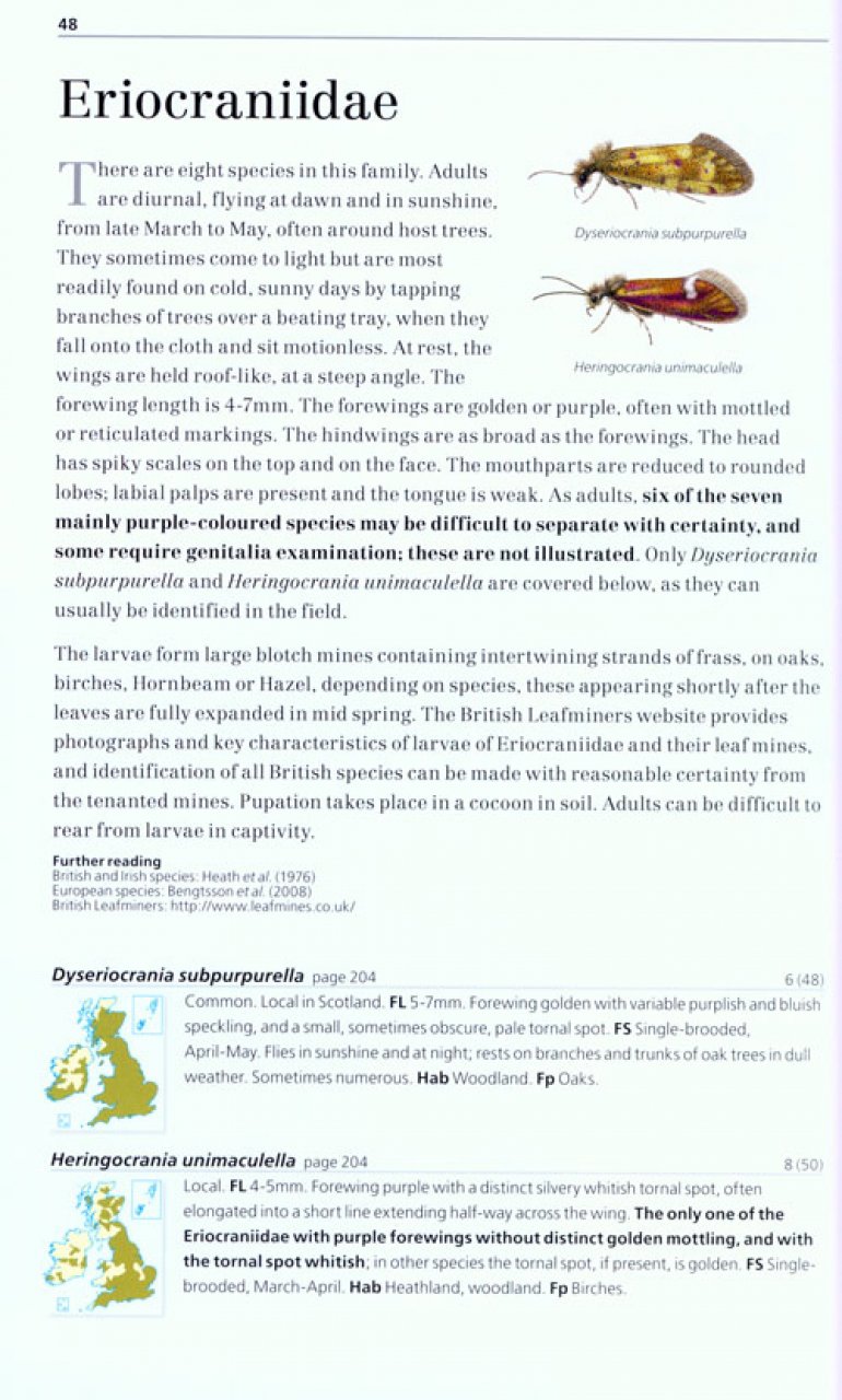 FIELD GUIDE TO THE MICRO-MOTHS OF GREAT BRITAIN AND IRELAND 6