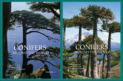 CONIFERS AROUND THE WORLD. 2 VOLS 1
