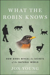 WHAT THE ROBIN KNOWS 1